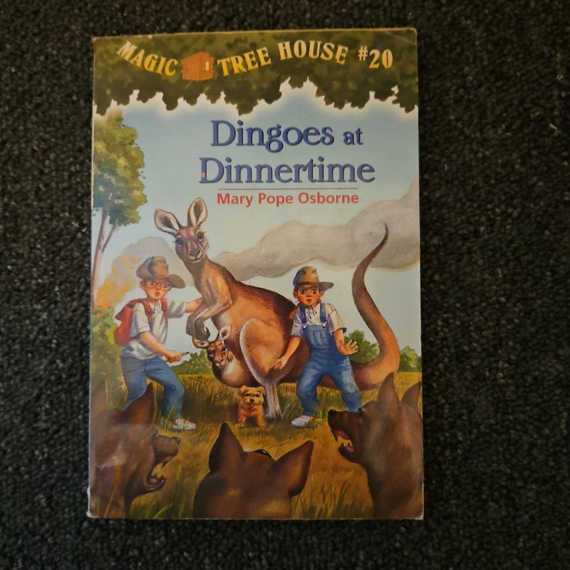 Dingoes at Dinnertime