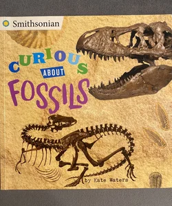 Curious about Fossils