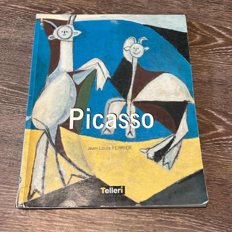 Picasso 