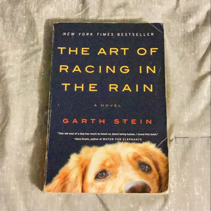 The Art of Racing in the Rain