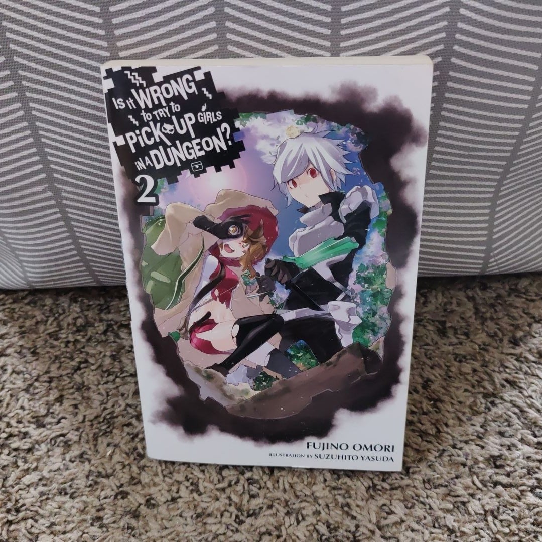 DANJON NI DEAI WO DANMACHI MOVIE LIMITED japanese Novel Book 2 set Anime  orion