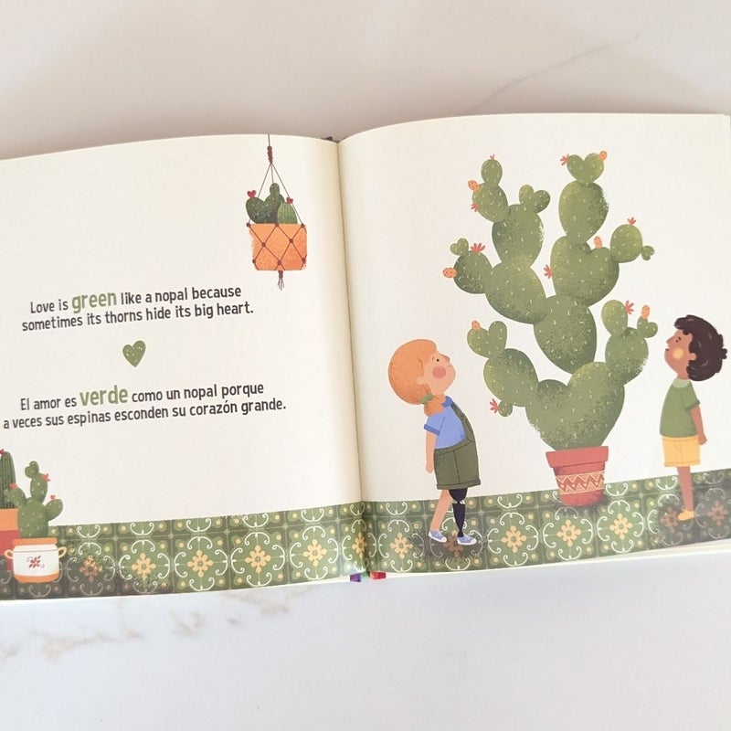 Amor de Colores (Lil' Libros) Bilingual Book English/Spanish