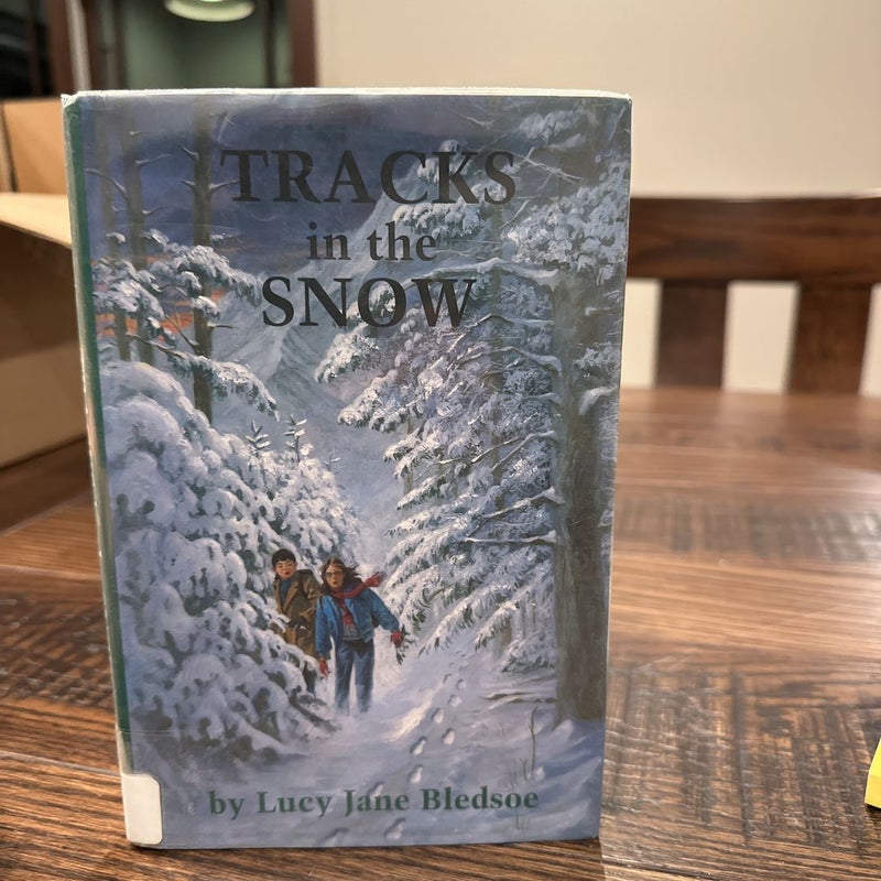 Tracks in the Snow