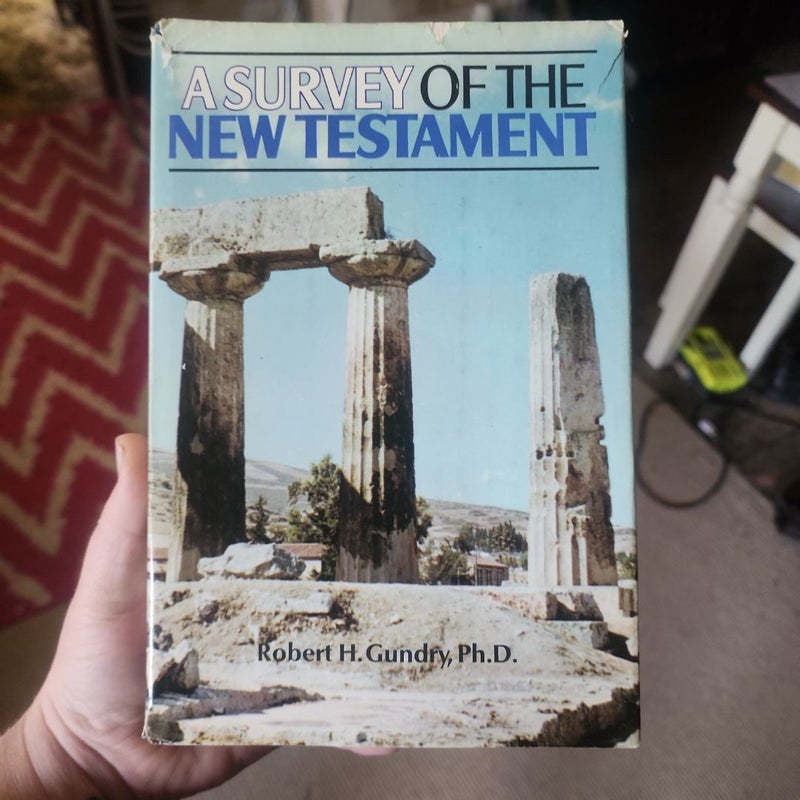 A Survey of the New Testament