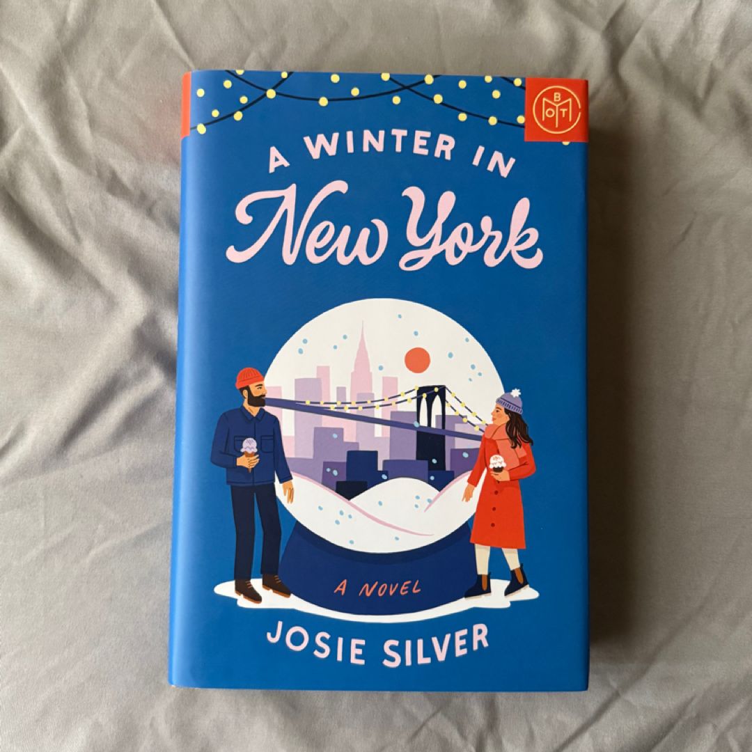 A Winter in New York
