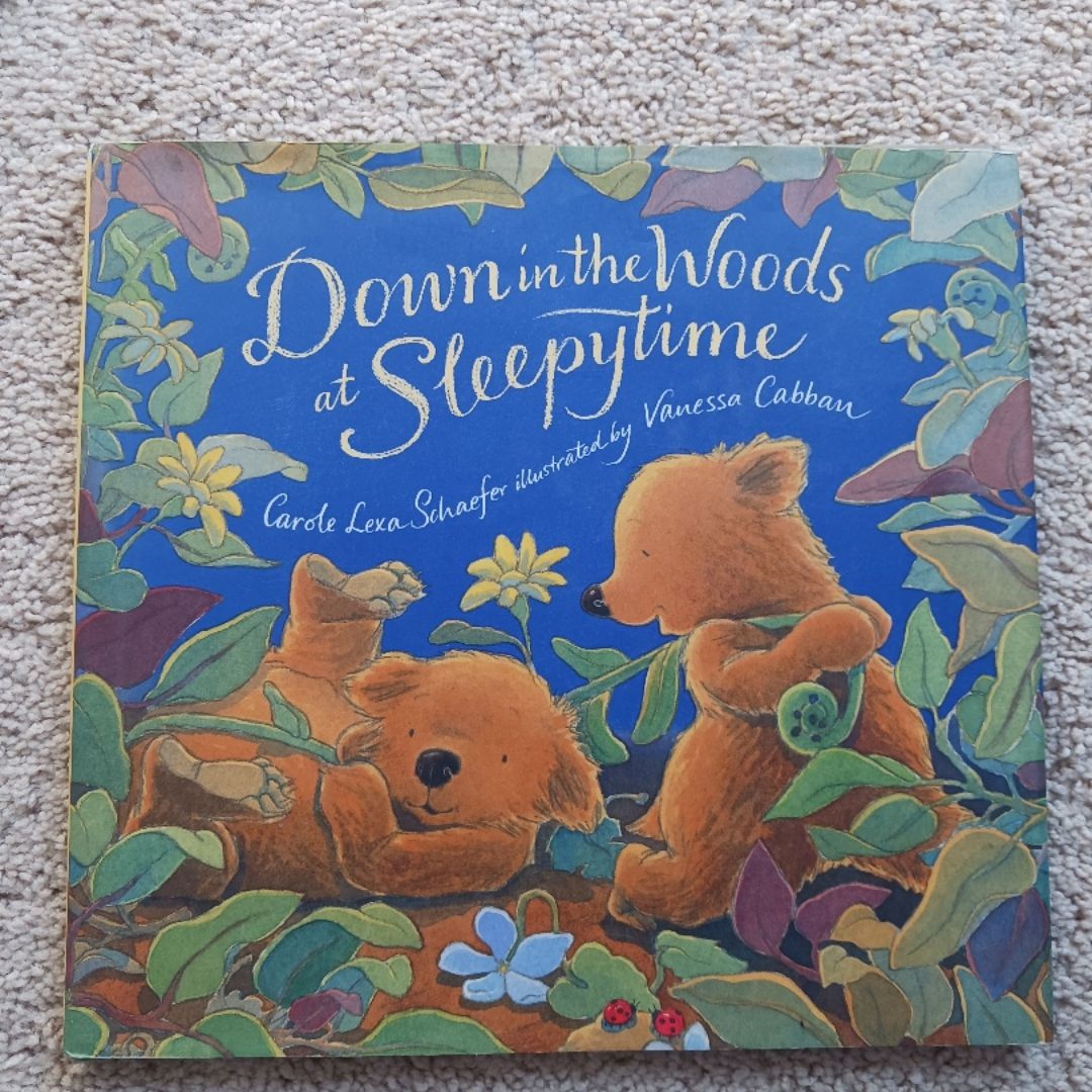 Down in the Woods at Sleepytime