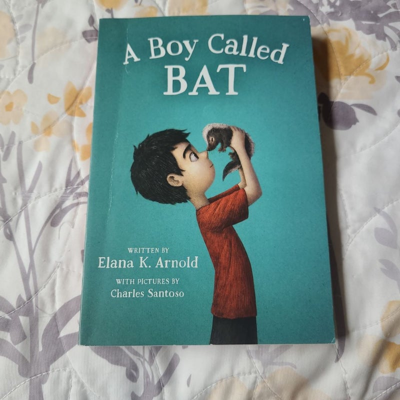 A Boy Called Bat