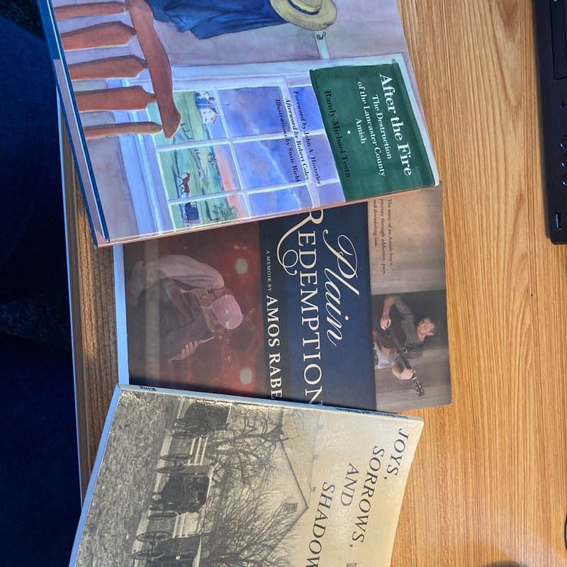 Bundle of 3 Amish Books on Life/Tragedy 
