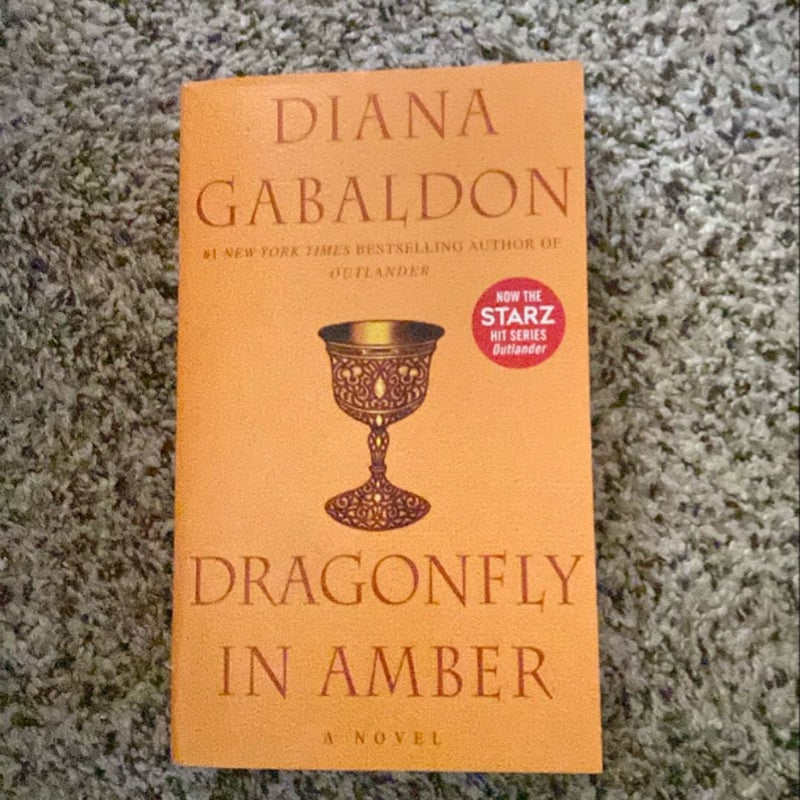 Dragonfly in Amber