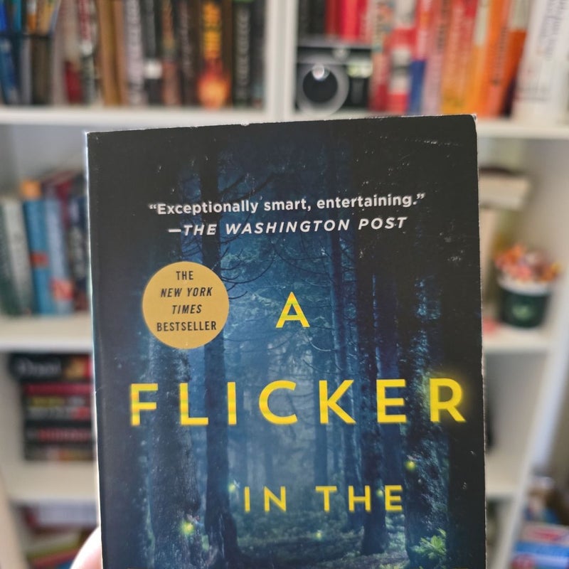 A Flicker in the Dark