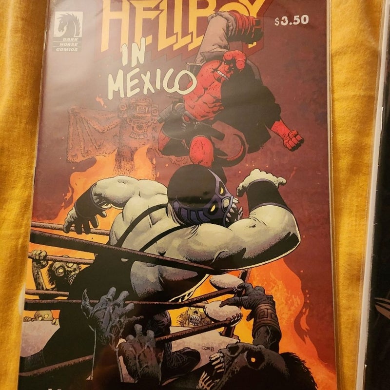 HELLBOY COMIC BOOK LOT 12 VOLUMES 