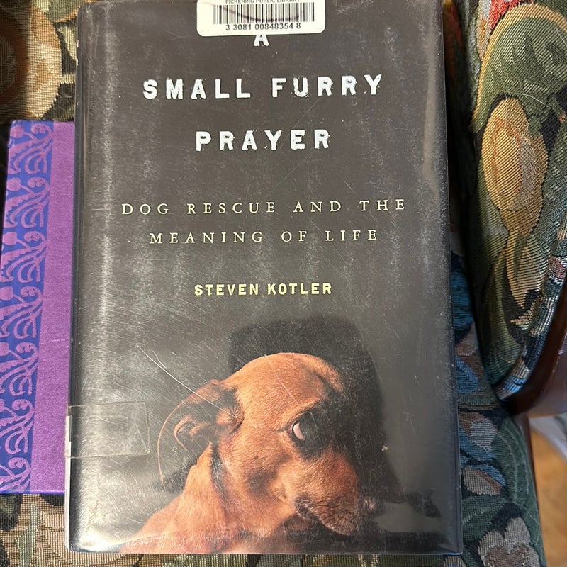 A Small Furry Prayer
