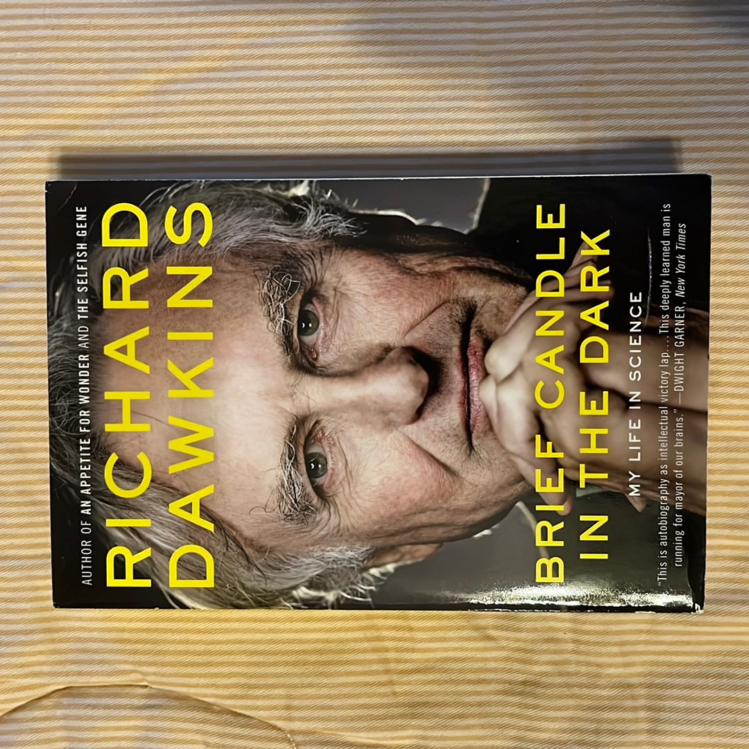 Brief Candle in the Dark