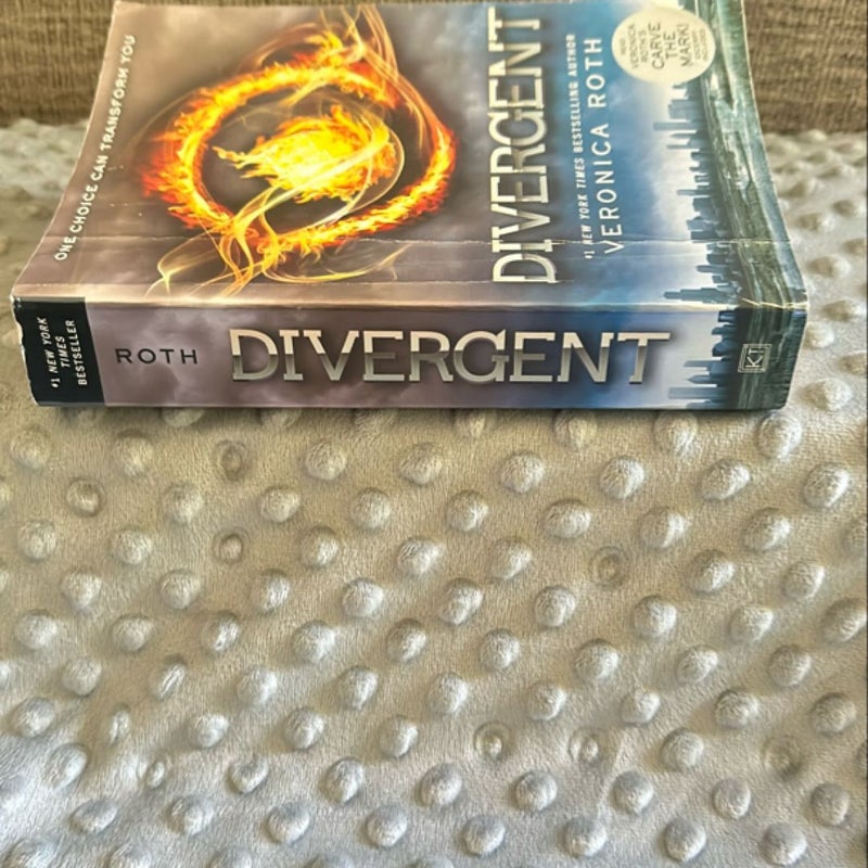 Divergent Series