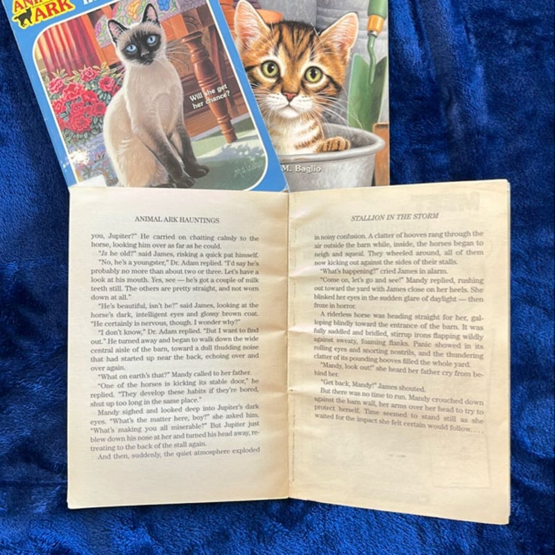 BOOK BUNDLE: Cats at the Campground, Tabby in the Tub and Siamese in the Sun