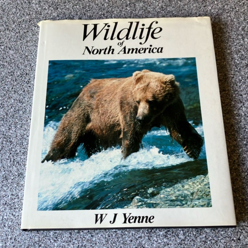 Wildlife of North America 