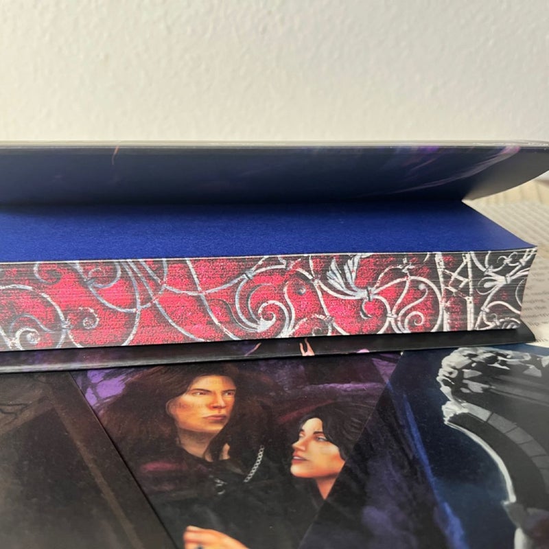 Iridescent Fairytale Serpent and the Wings of Night book box