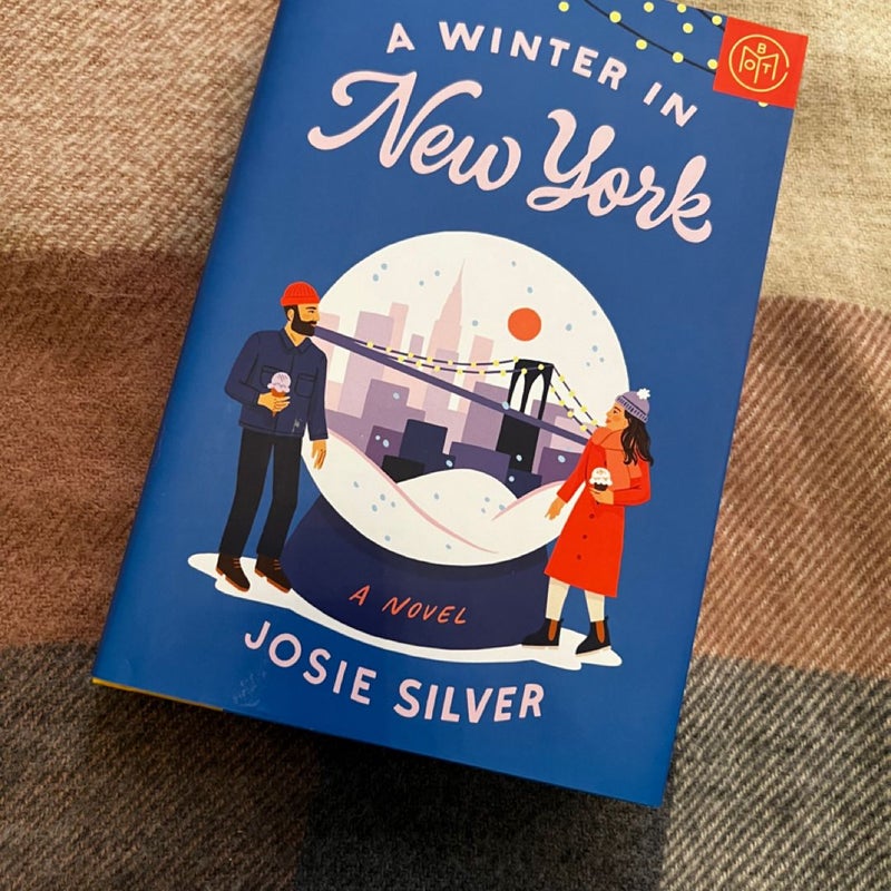 A Winter in New York 