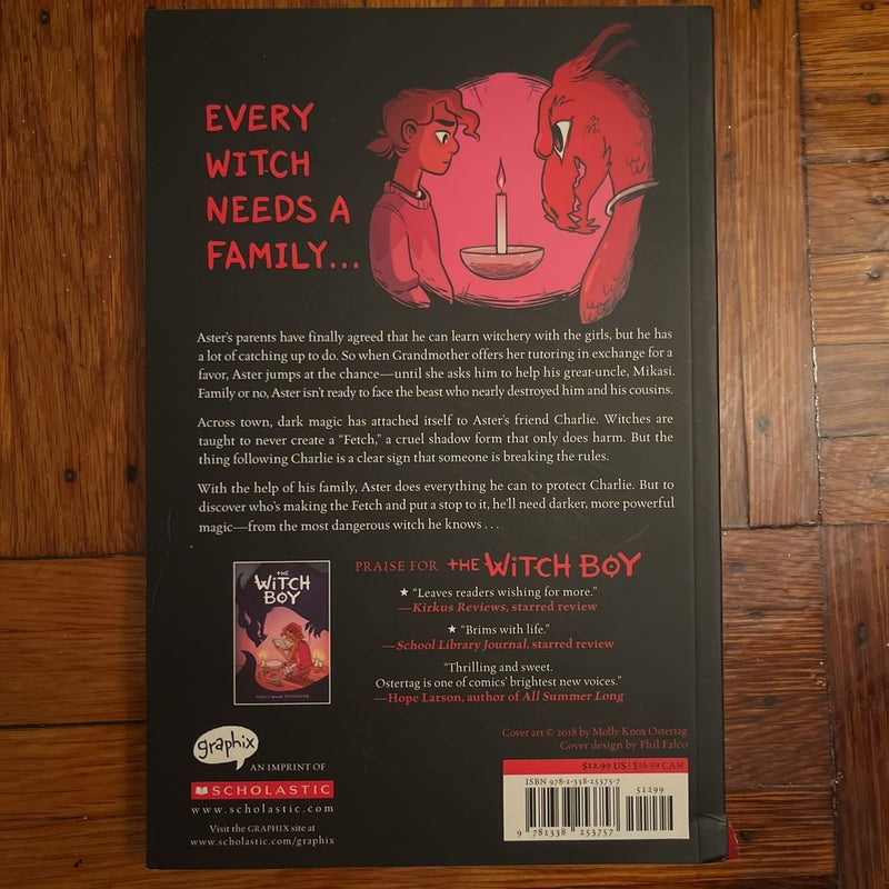 The Hidden Witch