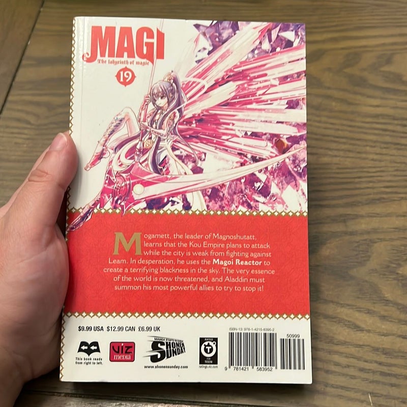 Magi: the Labyrinth of Magic, Vol. 19