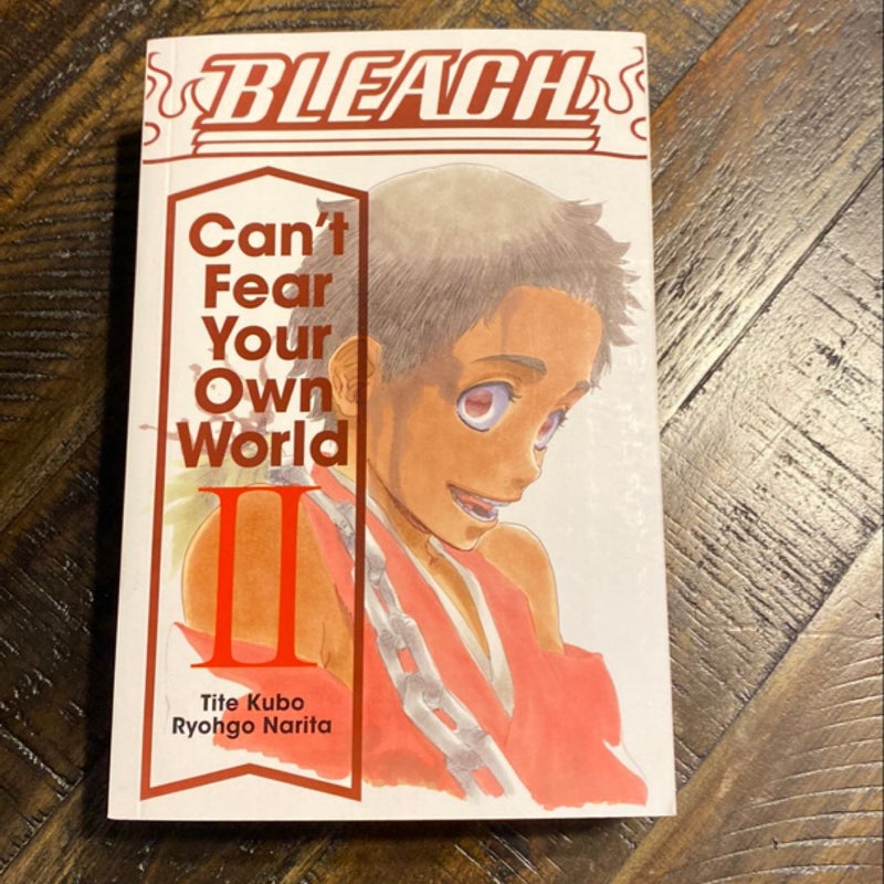 Bleach: Can't Fear Your Own World, Vol. 2