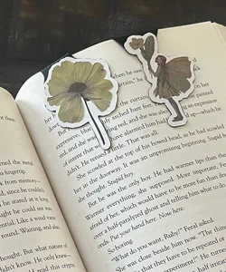 Magnetic Bookmarks 