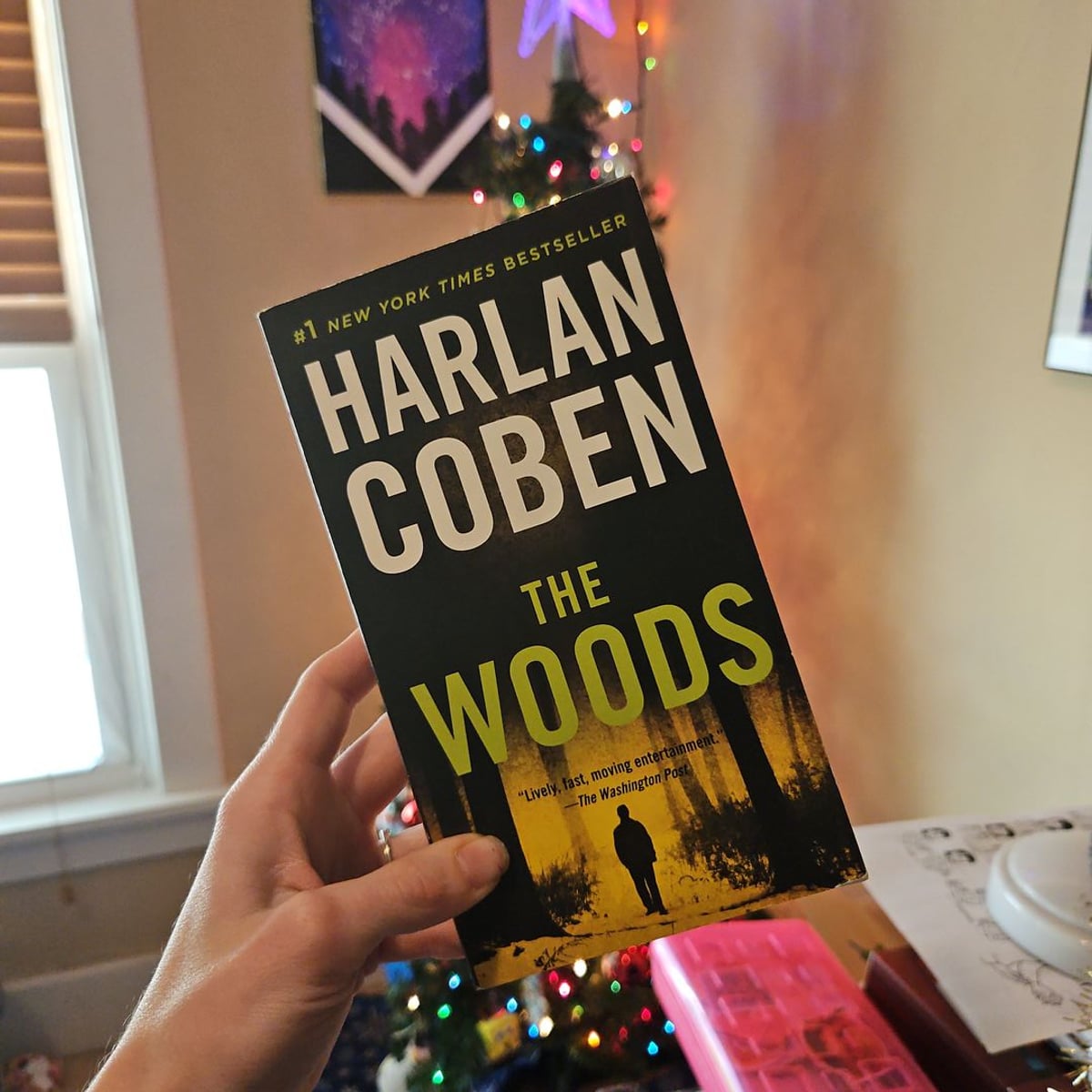 The Woods by Harlan Coben