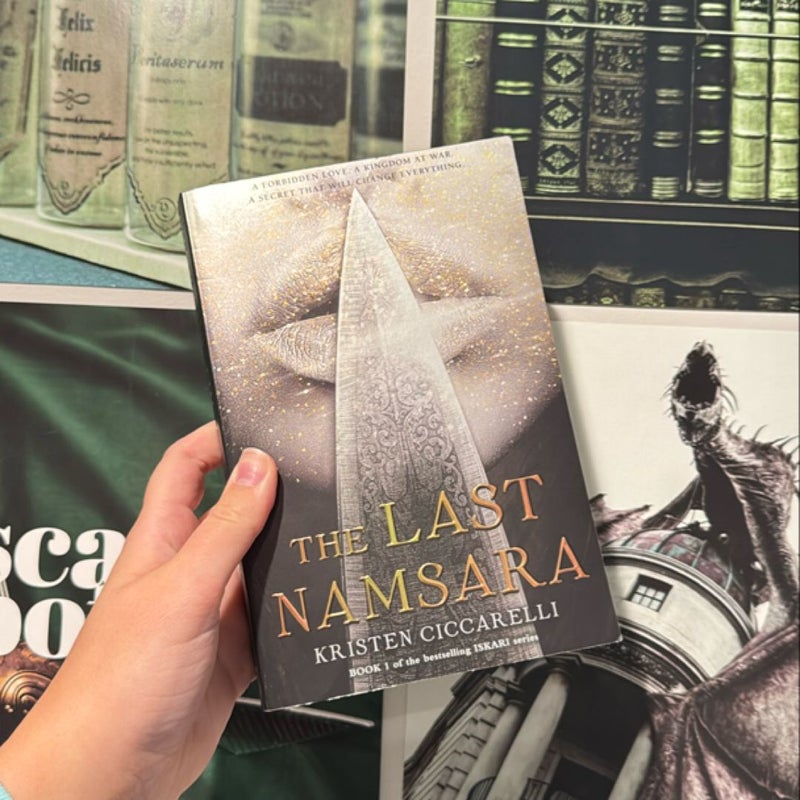 The Last Namsara