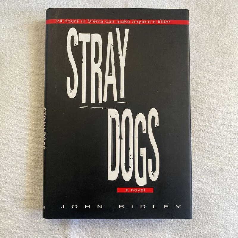 Stray Dogs