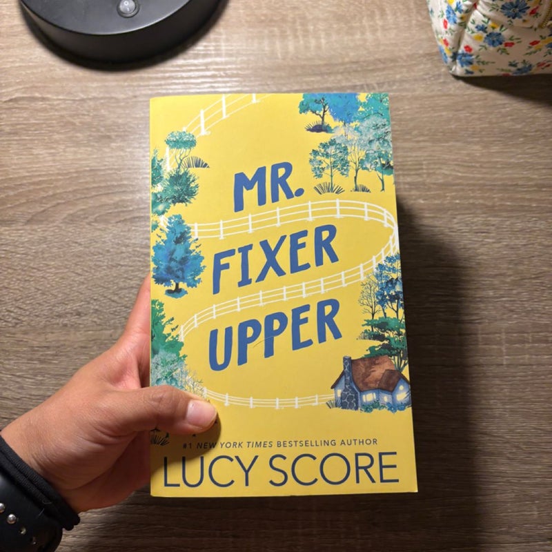 Mr. Fixer Upper