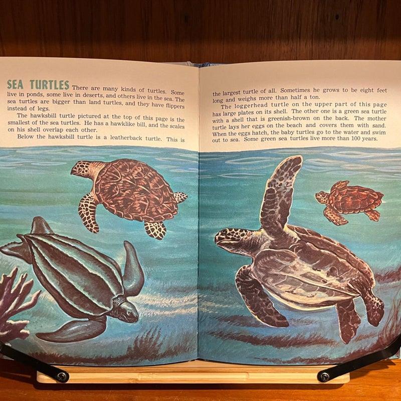 Vintage Children's Books -- Three Joe Maniscalco Books 1960s