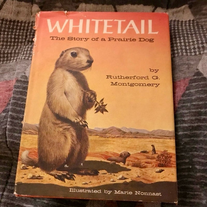 Whitetail The Story Of A Prairie Dog Vintage 1958