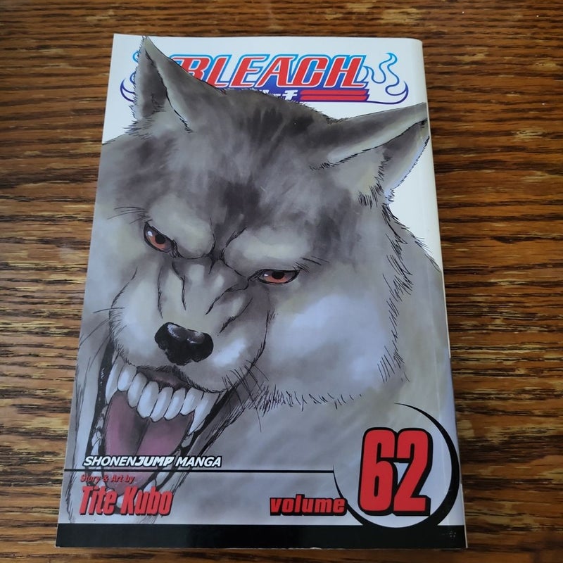 Bleach, Vol. 62