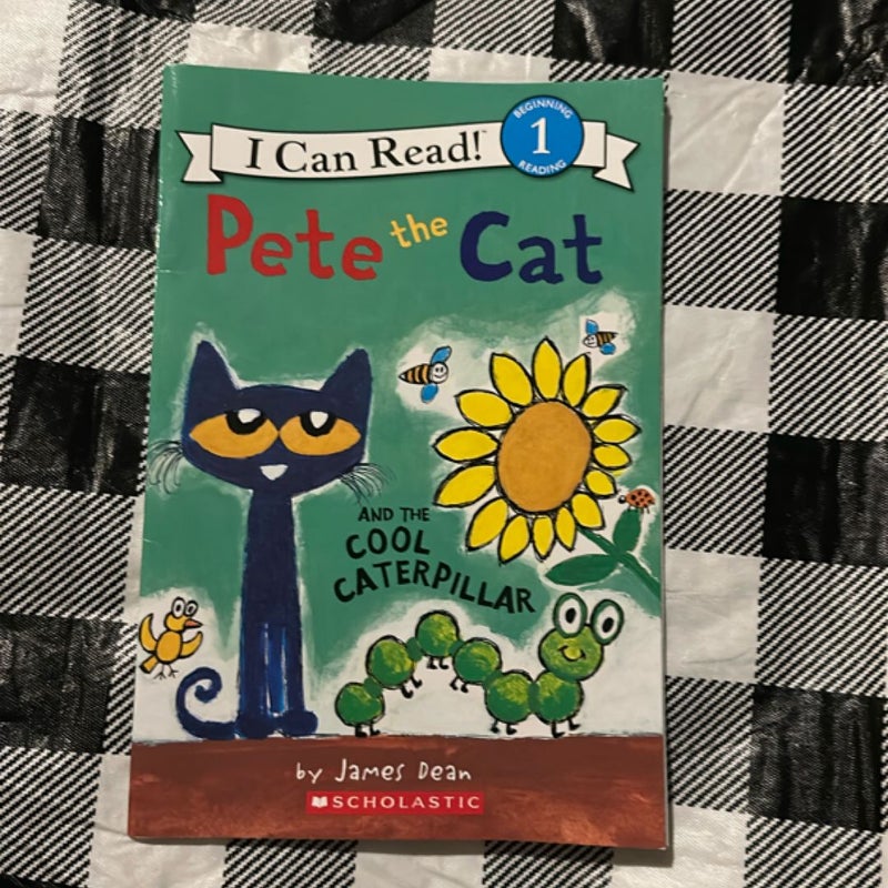 Pete the Cat and Splat the Cat Bundle