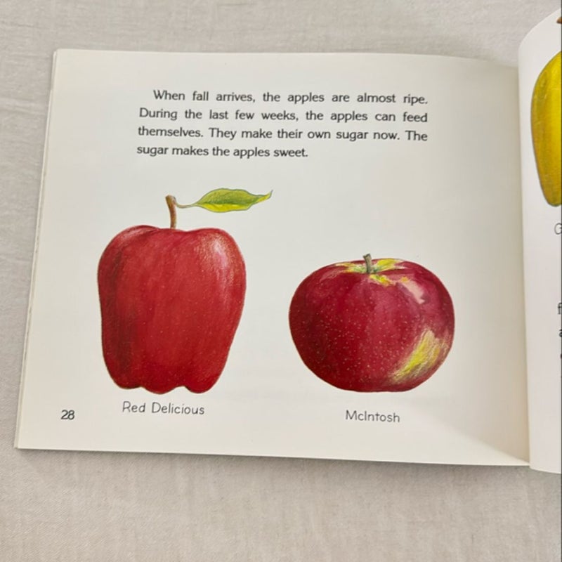 How Do Apples Grow?