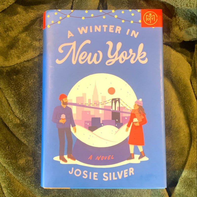 A Winter in New York