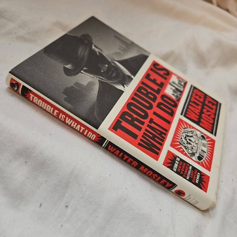 Trouble Is What I Do