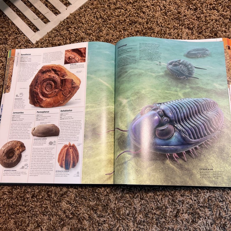 Dinosaurs and Prehistoric Life by Smithsonian, Hardcover