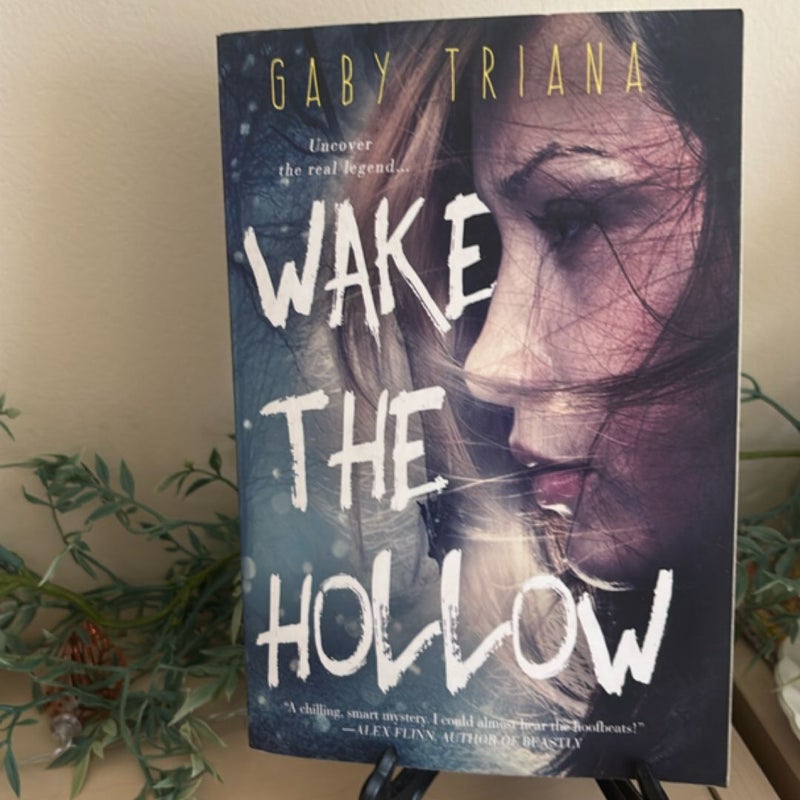 Wake the Hollow