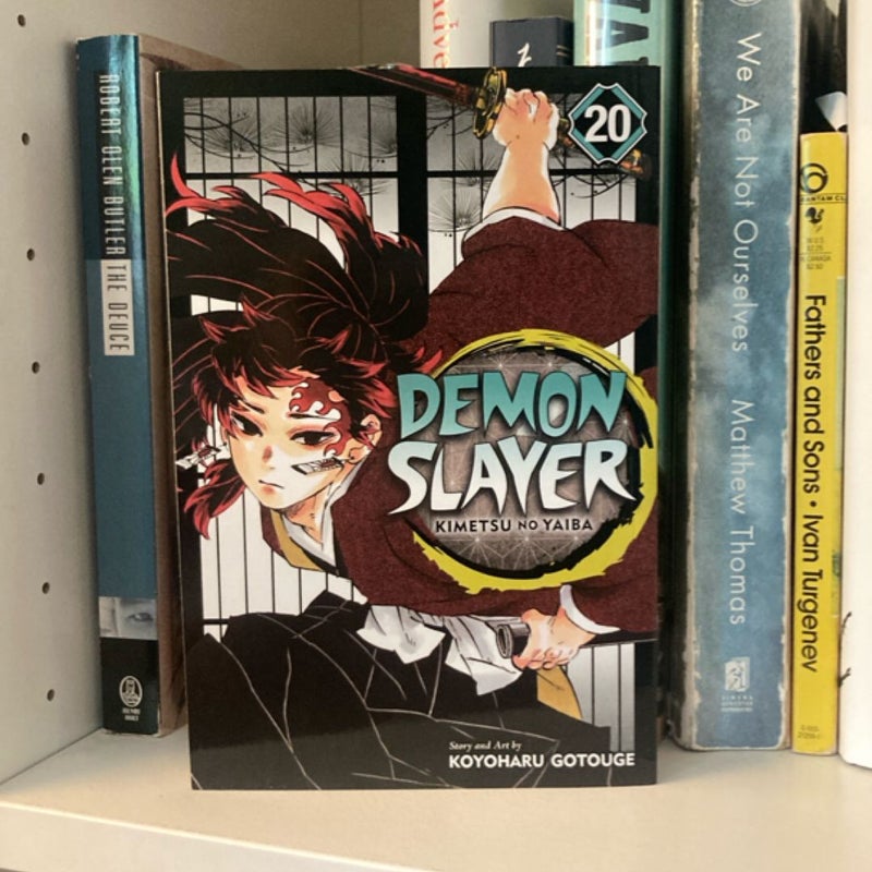 Demon Slayer: Kimetsu No Yaiba, Vol. 20