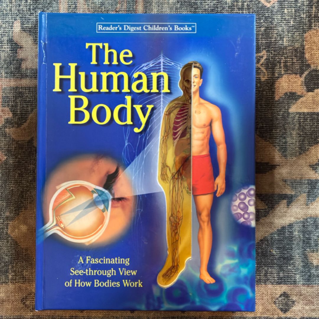 The Human Body