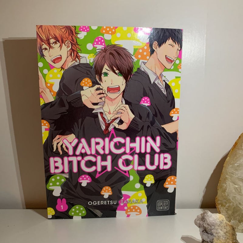 Yarichin Bitch Club Vol 01