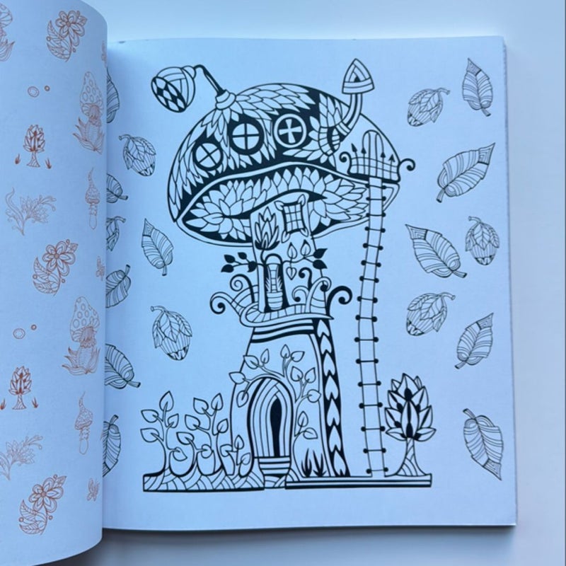 Enchanted Forest Coloring Book