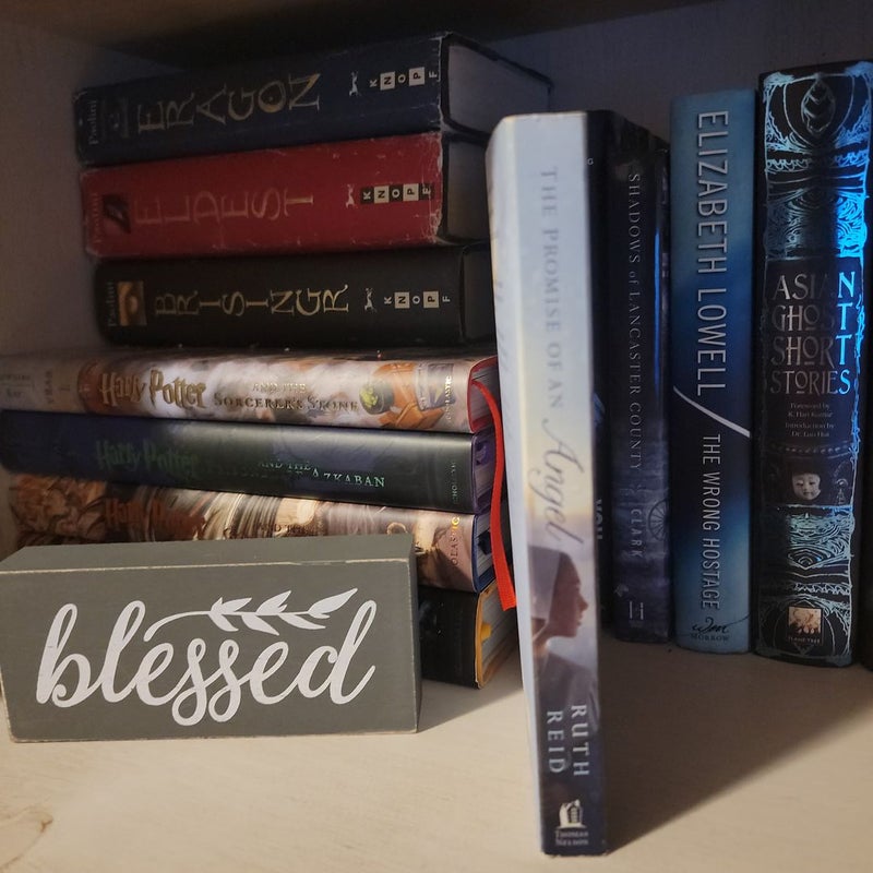 Amish romance books
