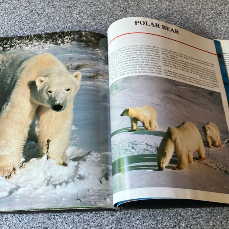 Wildlife of North America 