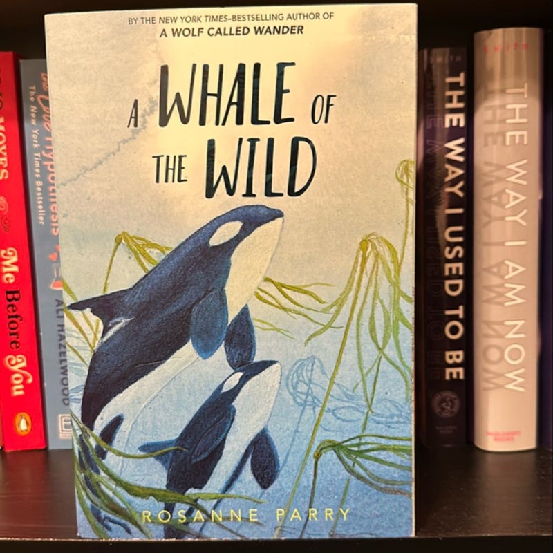 A Whale of the Wild