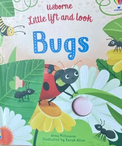 Usborne Little Lift and Look Bugs