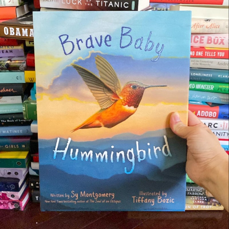 Brave Baby Hummingbird