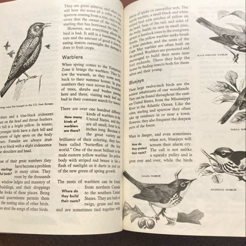 The How and Why Wonder Book of Birds