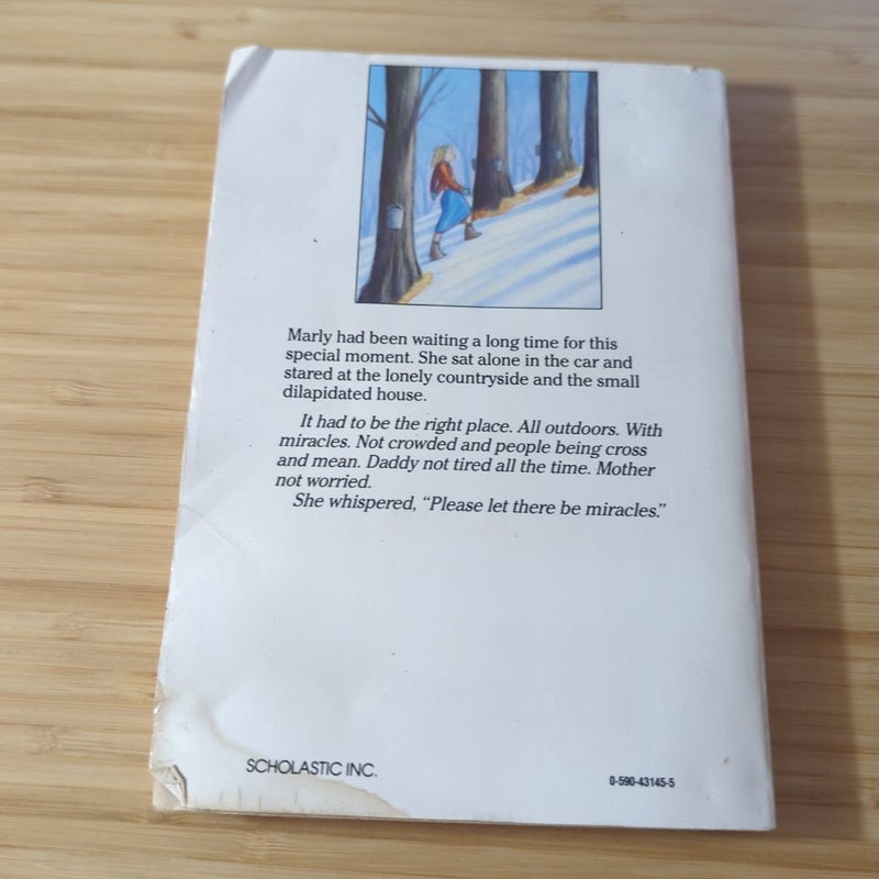 Miracles on Maple Hill